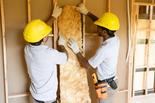 Best Attic Insulation Installation  in Elmwood Place, OH